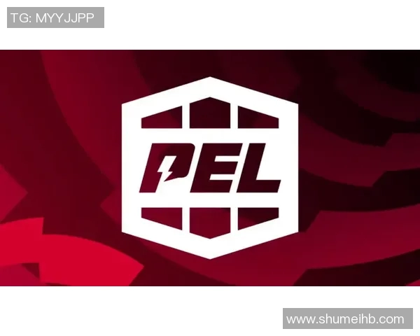 和平精英赛事分析WE战队防守策略与战术解读