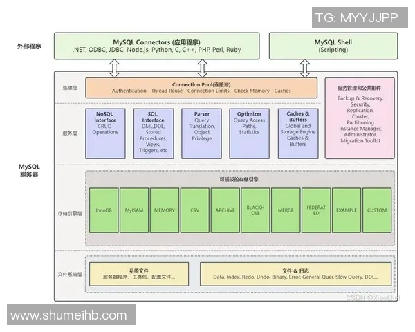 深入解析LNG战队战术布局与团队协作在英雄联盟中的应用与影响实时数据